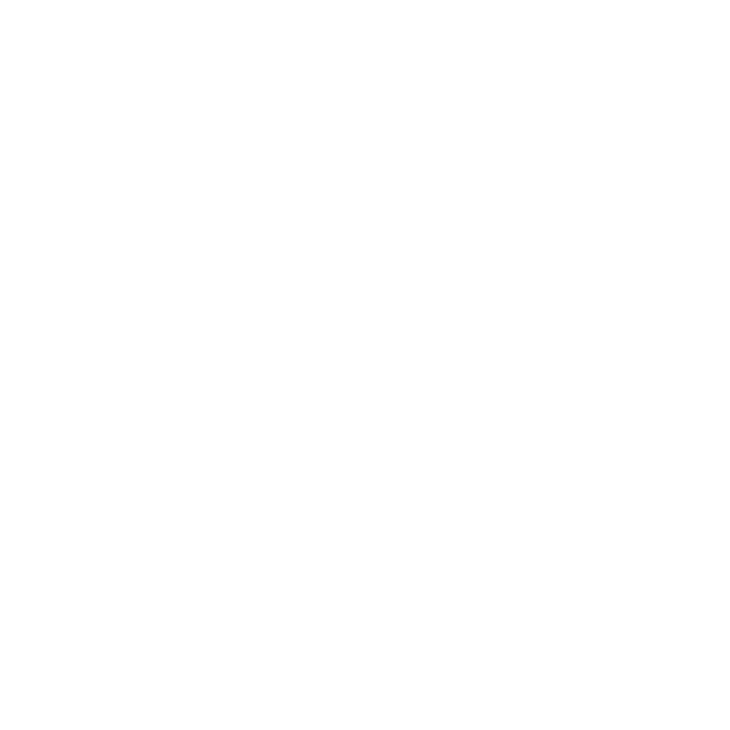 DAO INC.